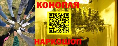 крисы Бузулук